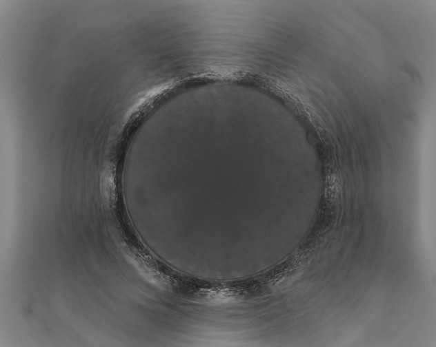 X0000111520688200908041244