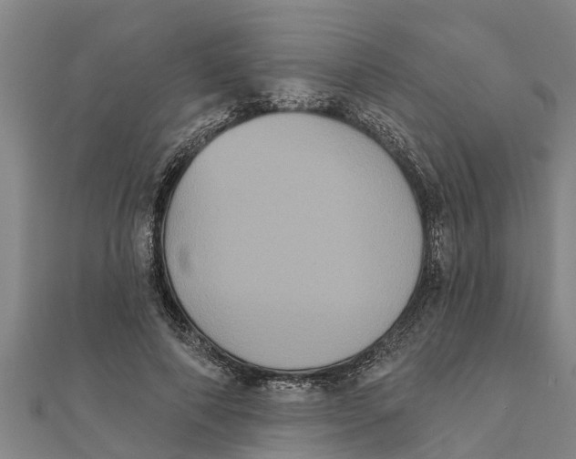 X0000111520690200908041244