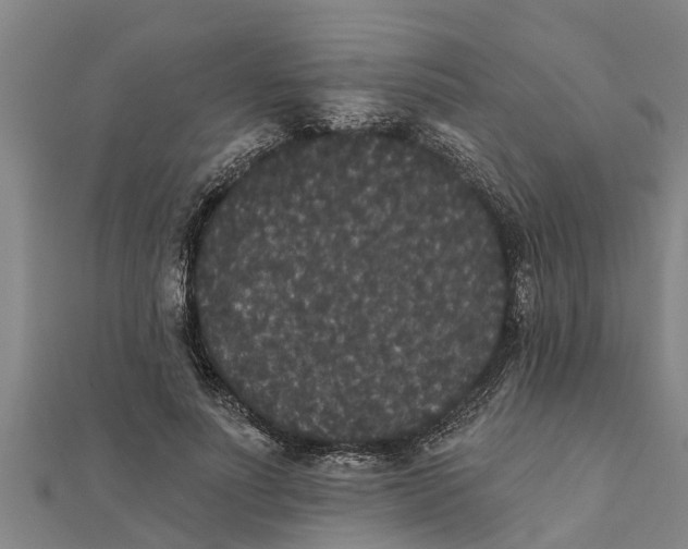 X0000111520691200908041244