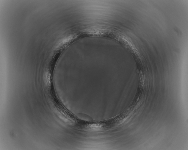 X0000111520692200908041244