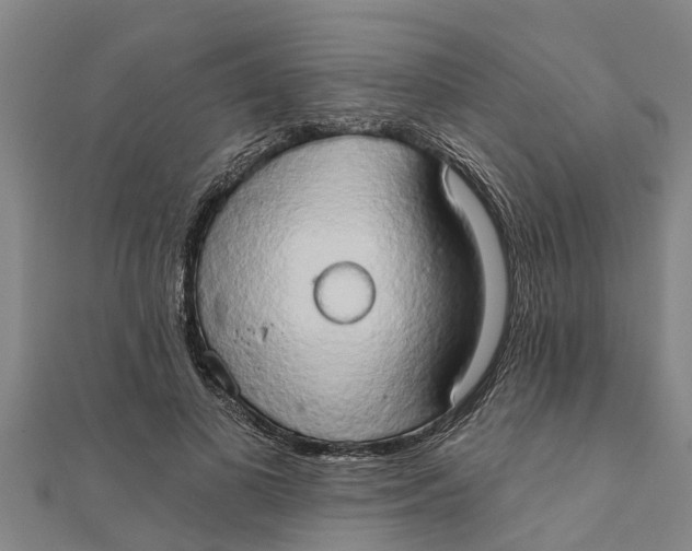 X0000111520693200908041244