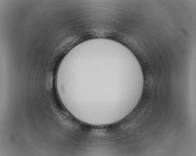 X0000111520694200908041244