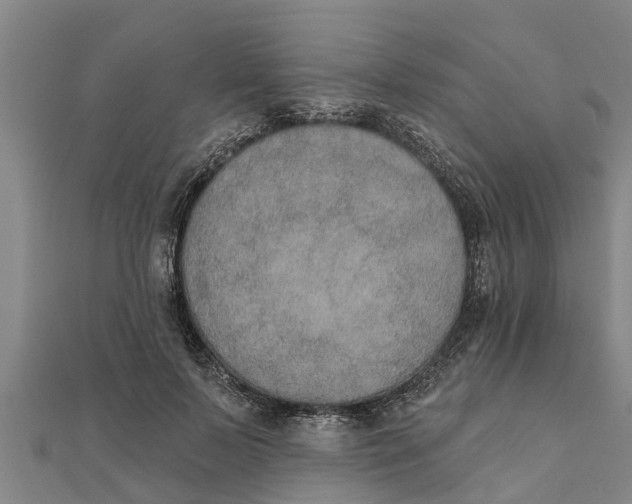 X0000111520695200908041244