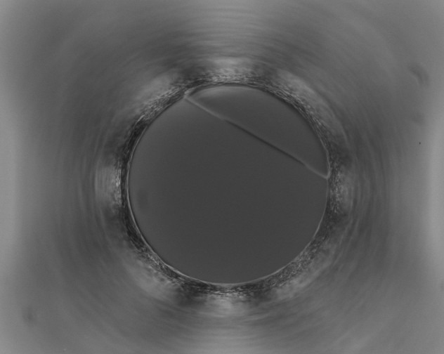 X0000111520696200908041244