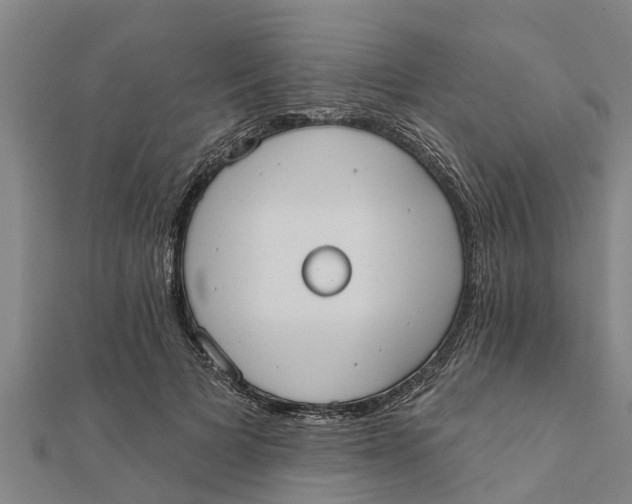 X0000111520697200908041244