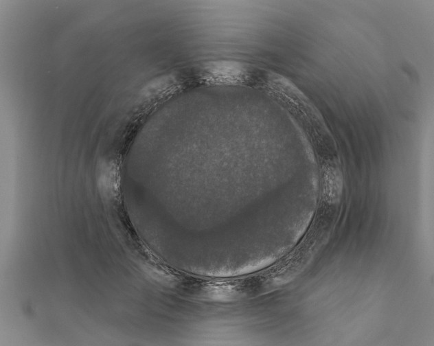 X0000111520701200908041244