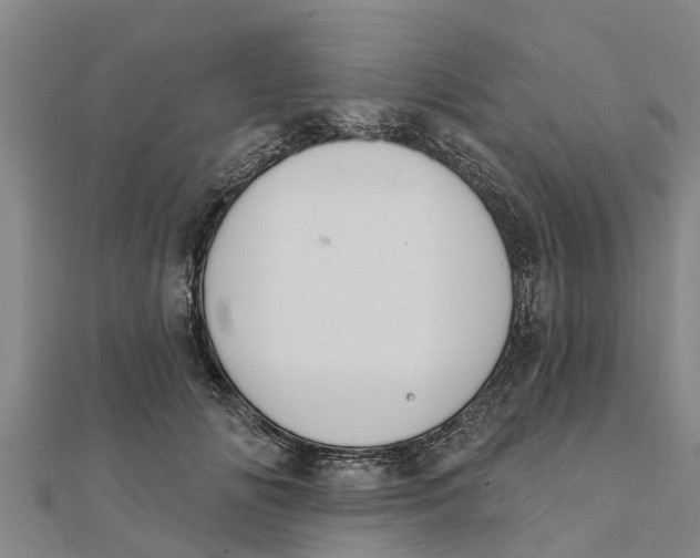 X0000111520702200908041244
