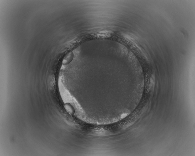 X0000111520704200908041243