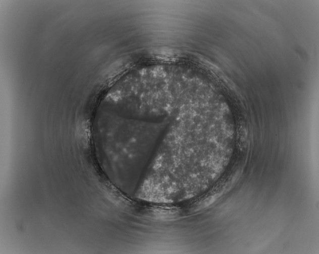 X0000111520707200908041243