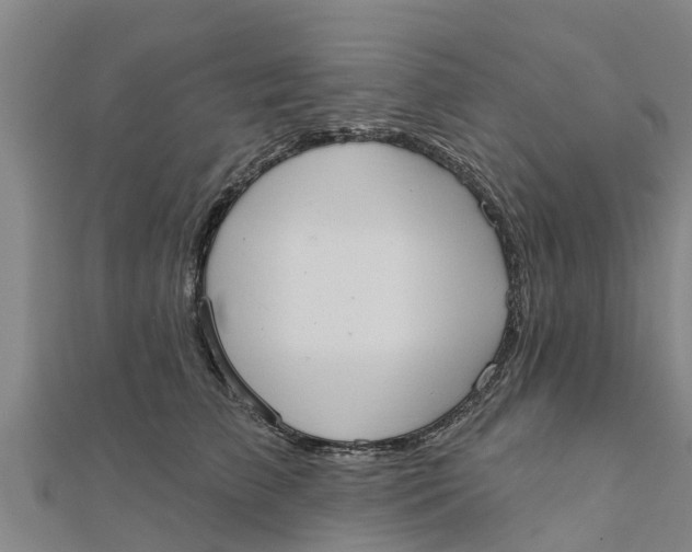 X0000111520709200908041243