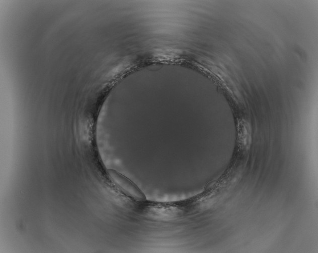 X0000111520712200908041243