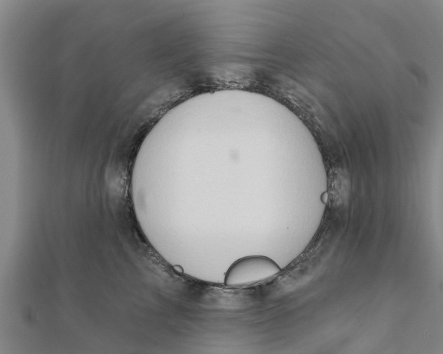 X0000111520713200908041243