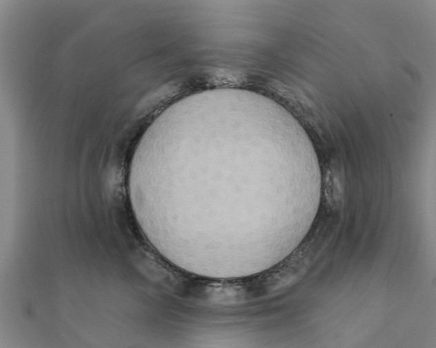 X0000111520714200908041243
