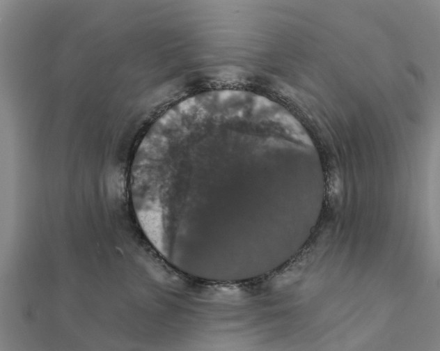 X0000111520715200908041243