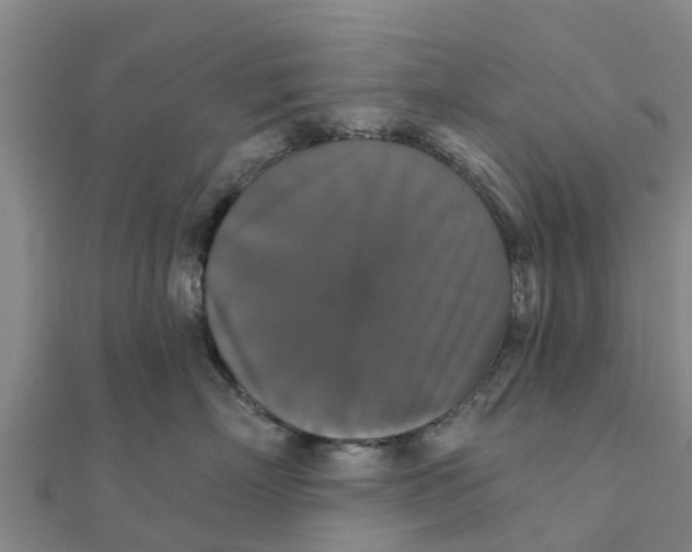 X0000111520718200908041243