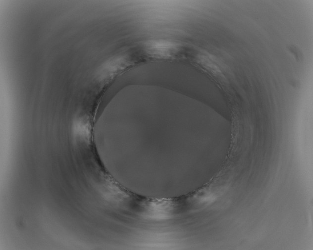 X0000111520720200908041243