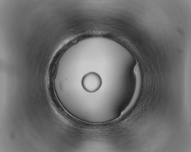 X0000111520726200908041243