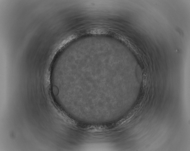 X0000111520727200908041243
