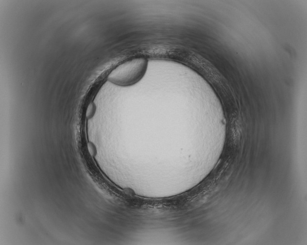 X0000111520728200908041243