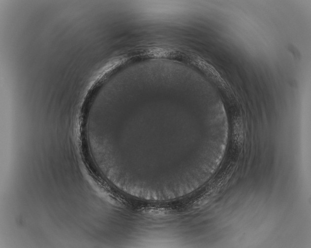 X0000111520730200908041243