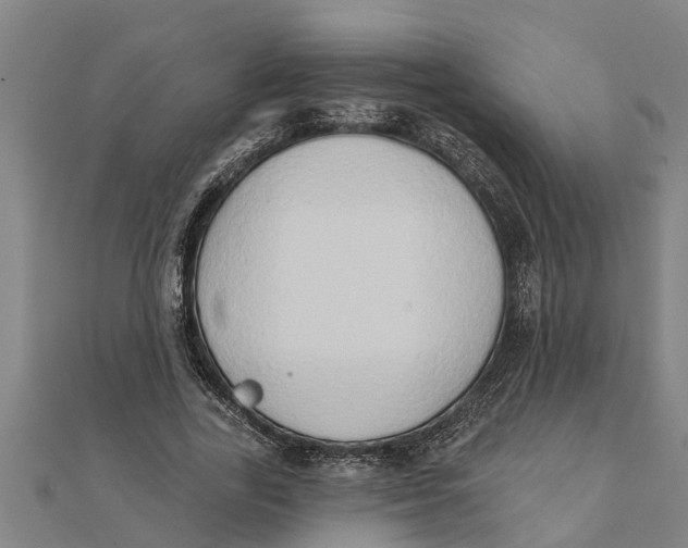 X0000111520731200908041243