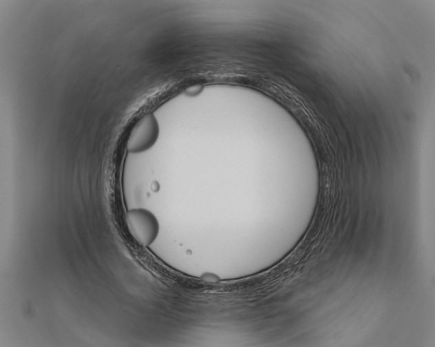 X0000111520732200908041243