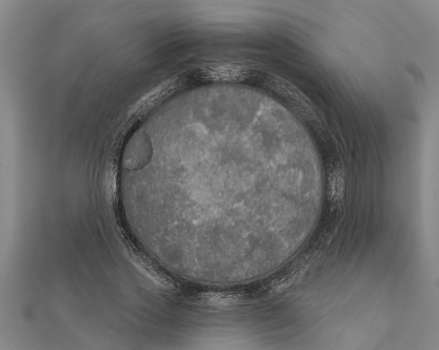 X0000111520733200908041243