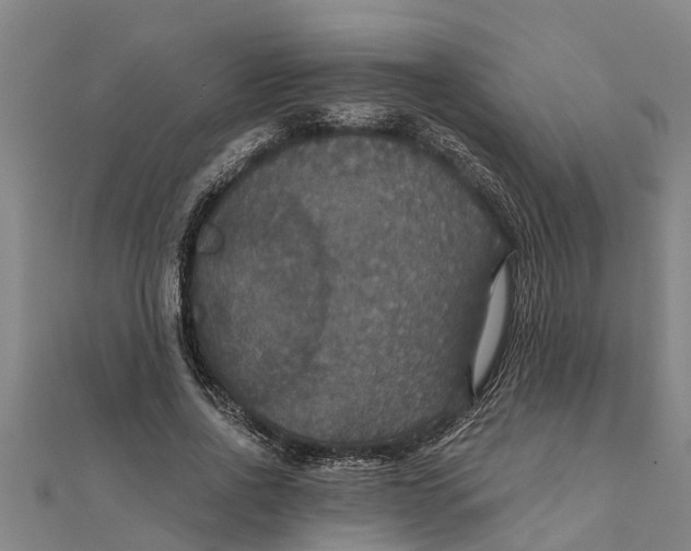 X0000111520734200908041243