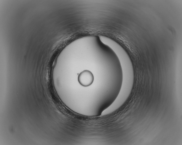 X0000111520740200908041243