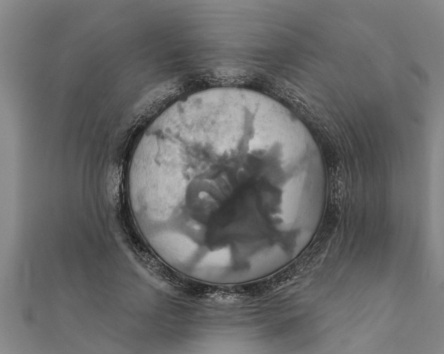 X0000111520742200908041243