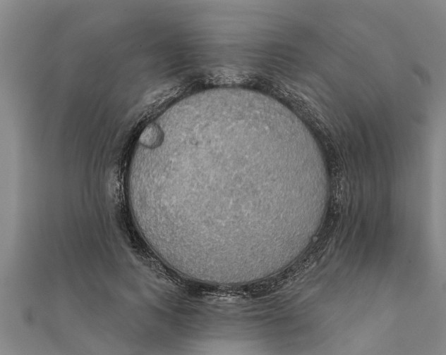 X0000111520743200908041243
