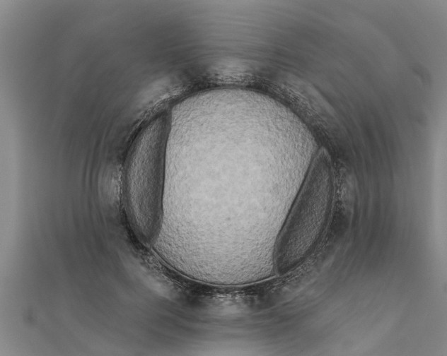 X0000111520744200908041243