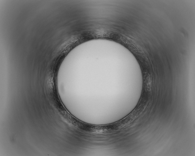 X0000111520746200908041243