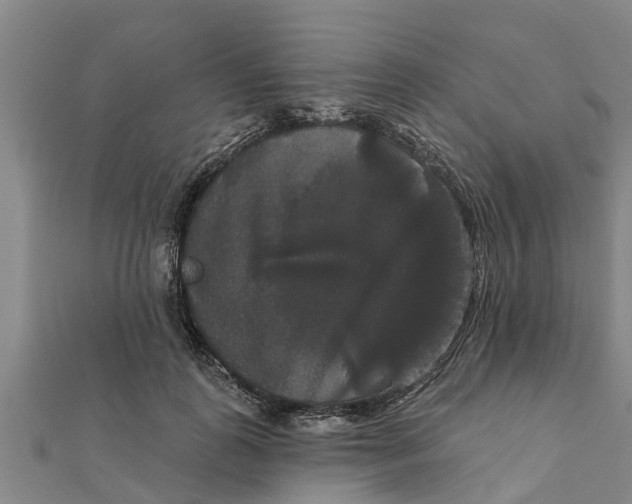 X0000111520747200908041243