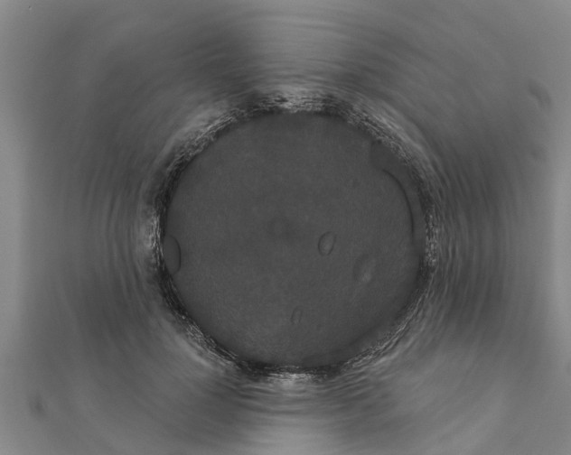 X0000111520748200908041243