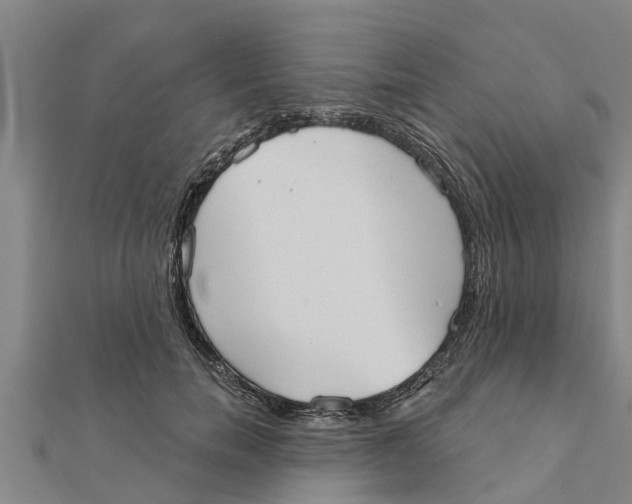 X0000111520750200908041243