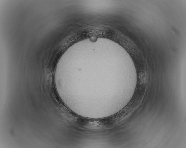 X0000111520753200908041243