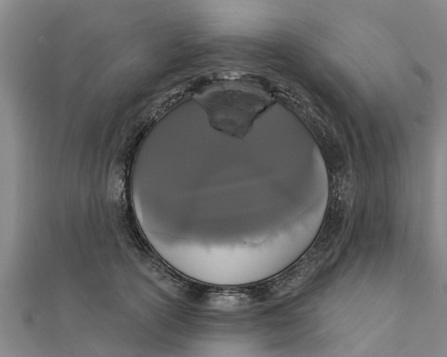 X0000111520754200908041243