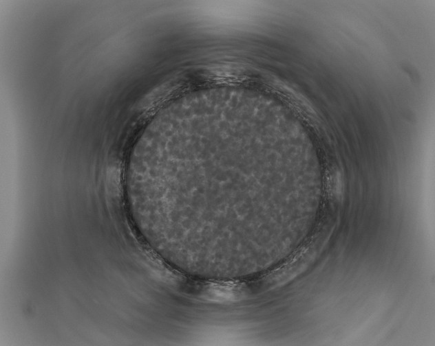 X0000111520757200908041243