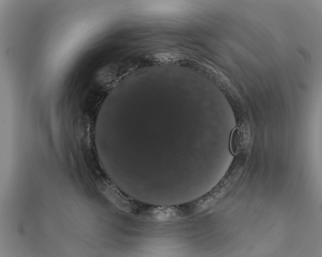 X0000111520762200908041243