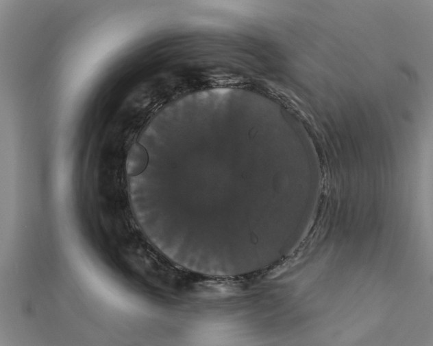 X0000111520763200908041243