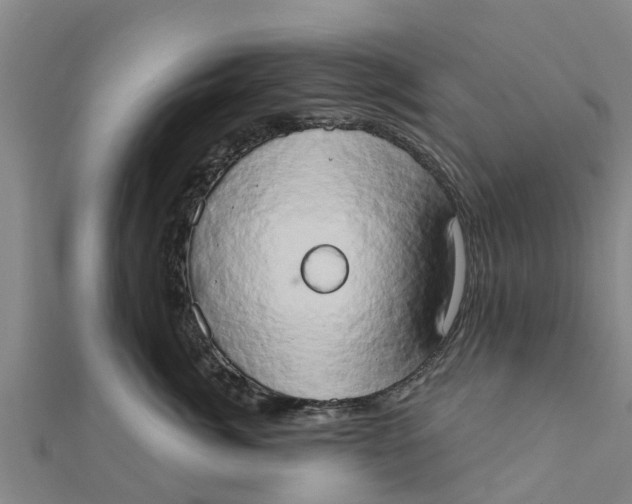 X0000111520764200908041243