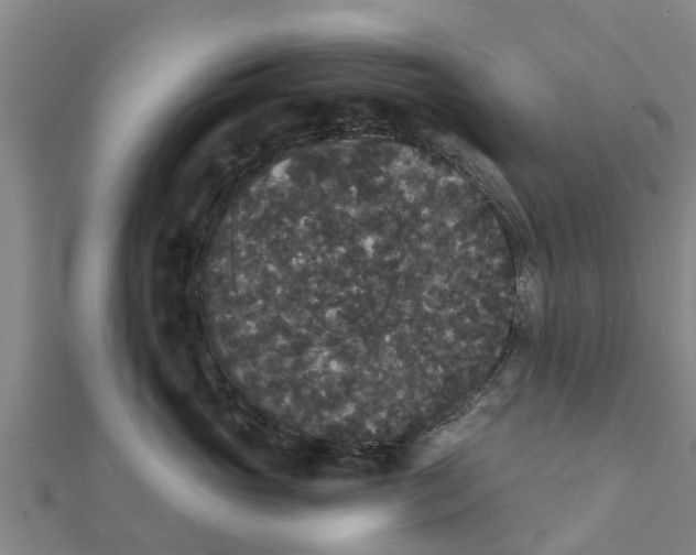X0000111520765200908041243