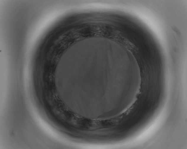 X0000111520766200908041243