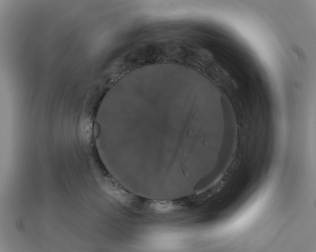 X0000111520767200908041243