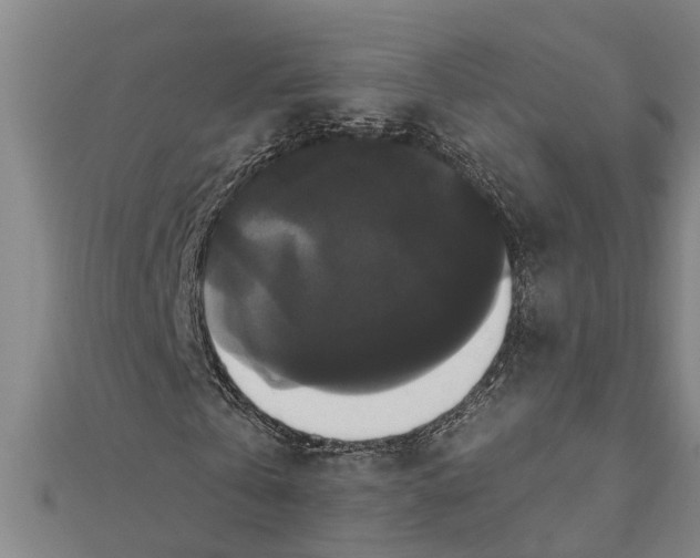 X0000111520769200908041243