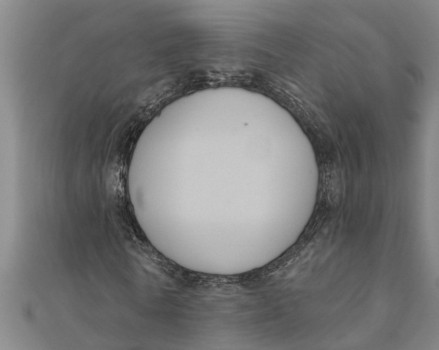 X0000111520770200908041243