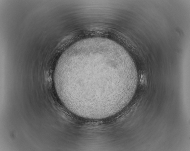 X0000111520771200908041243