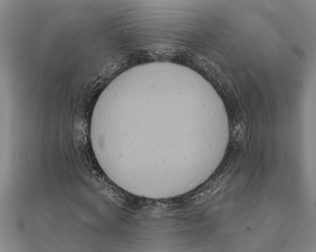 X0000111520772200908041243