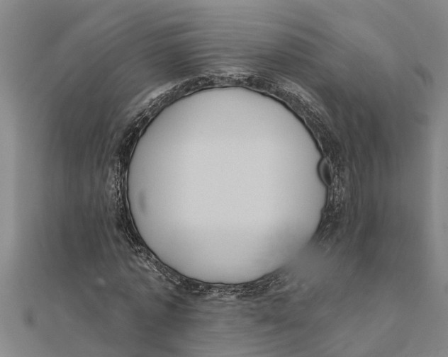 X0000111520773200908041243